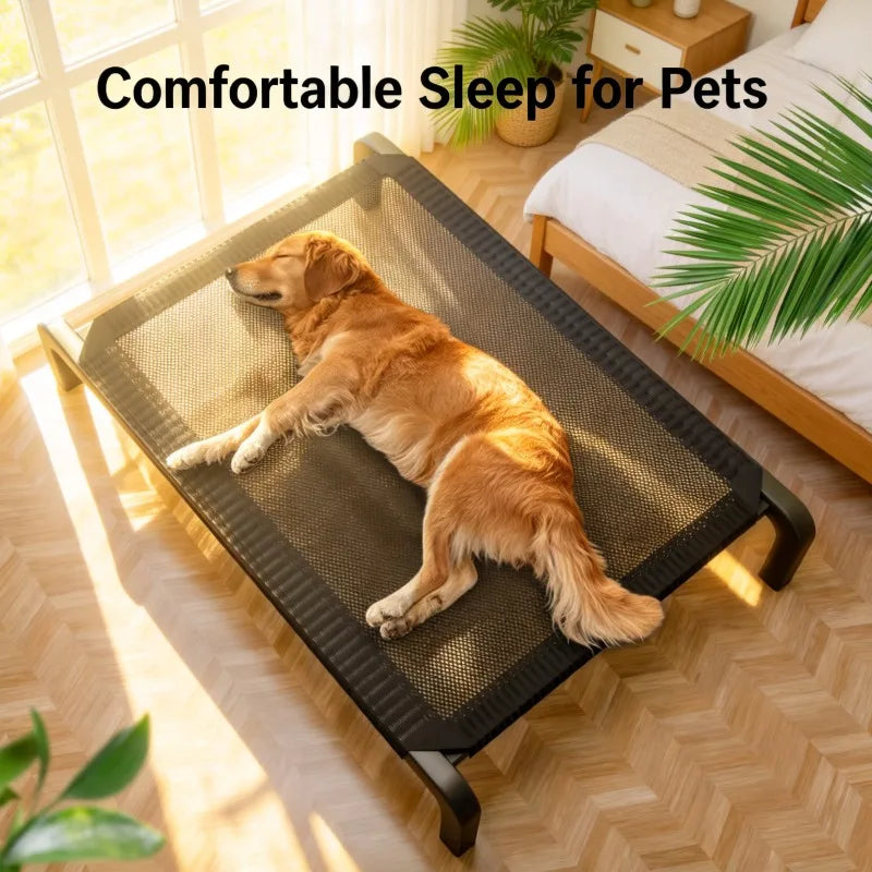 Foldable Dog Bed