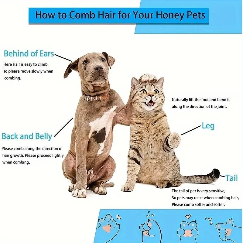 Dual-Use Dog Cat Grooming
