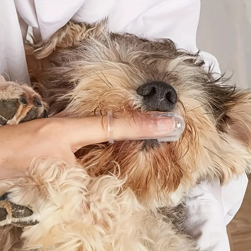 5 Units Pet Ultra-Soft Toothbrush